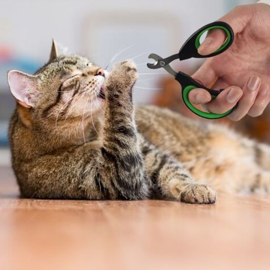 coupe ongle chat | ZenClip - Woufie