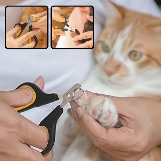 coupe ongle chat | ZenClip - Woufie