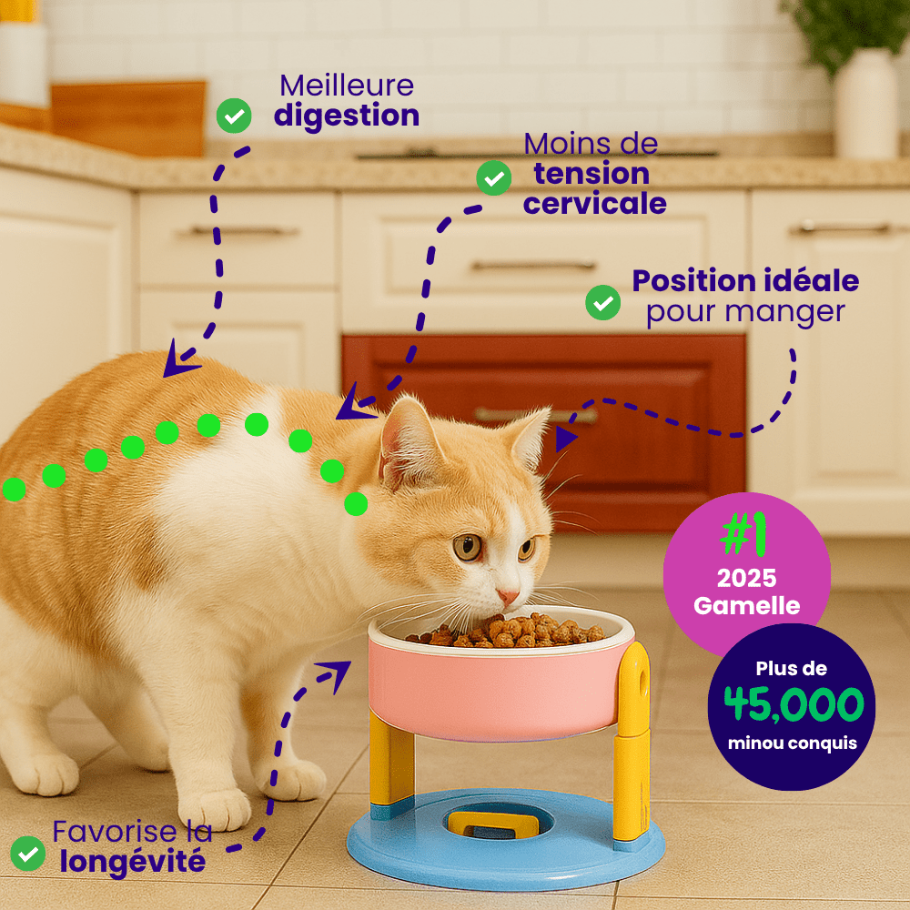 Gamelle Confort pour Animaux – OptiBowl - Woufie