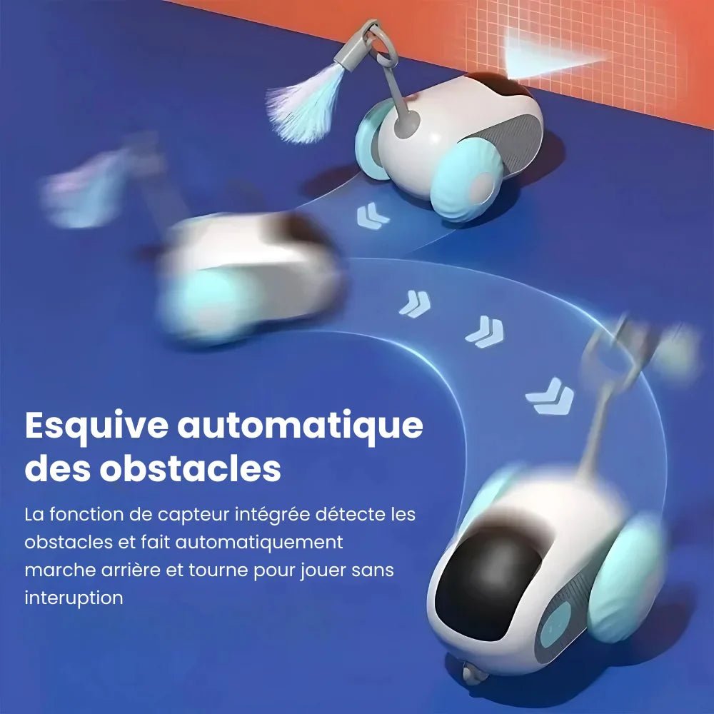 Jouet Téléguider Pour Chat - PawsCars ES - Woufie