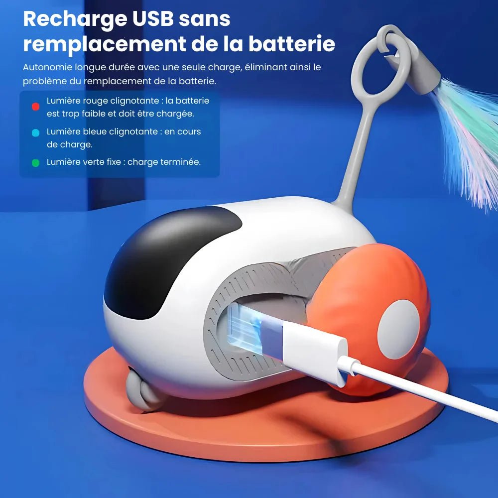 Jouet Téléguider Pour Chat - PawsCars ES - Woufie
