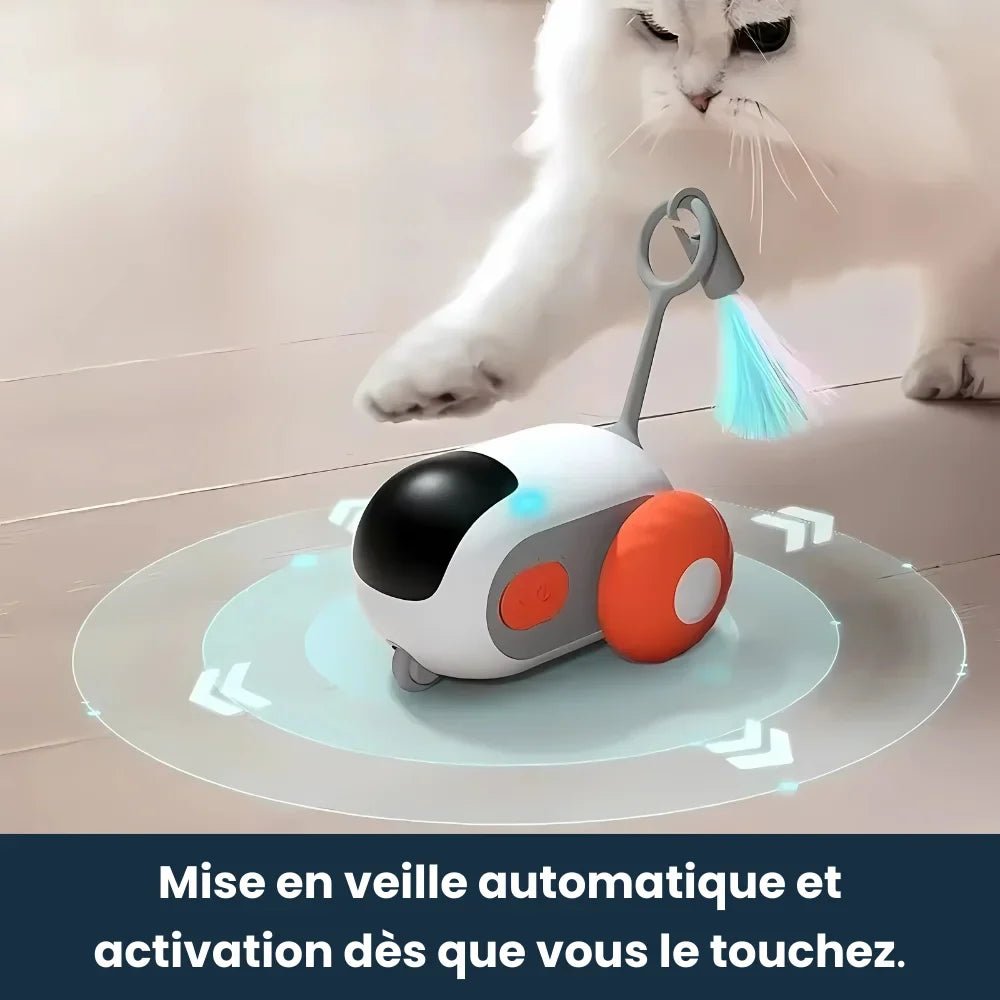 Jouet Téléguider Pour Chat - PawsCars ES - Woufie