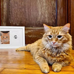 Kit Empreinte Animaux – WoufieMemory - Woufie