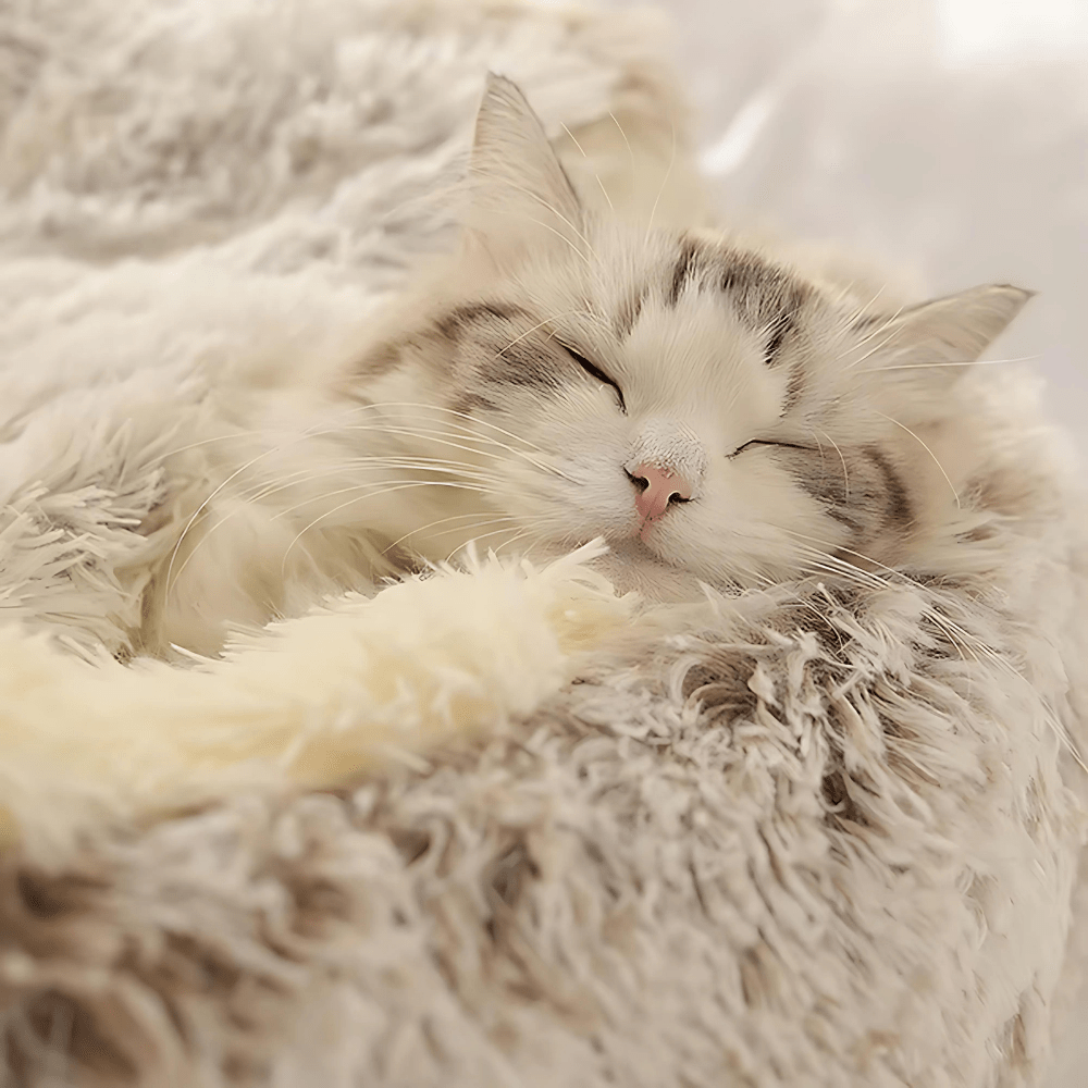 Lit Douillet Pour Chat - PawsCave ES - Woufie
