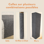 Polymères à Gratter Pour Chat - Polygriffe ES - Woufie