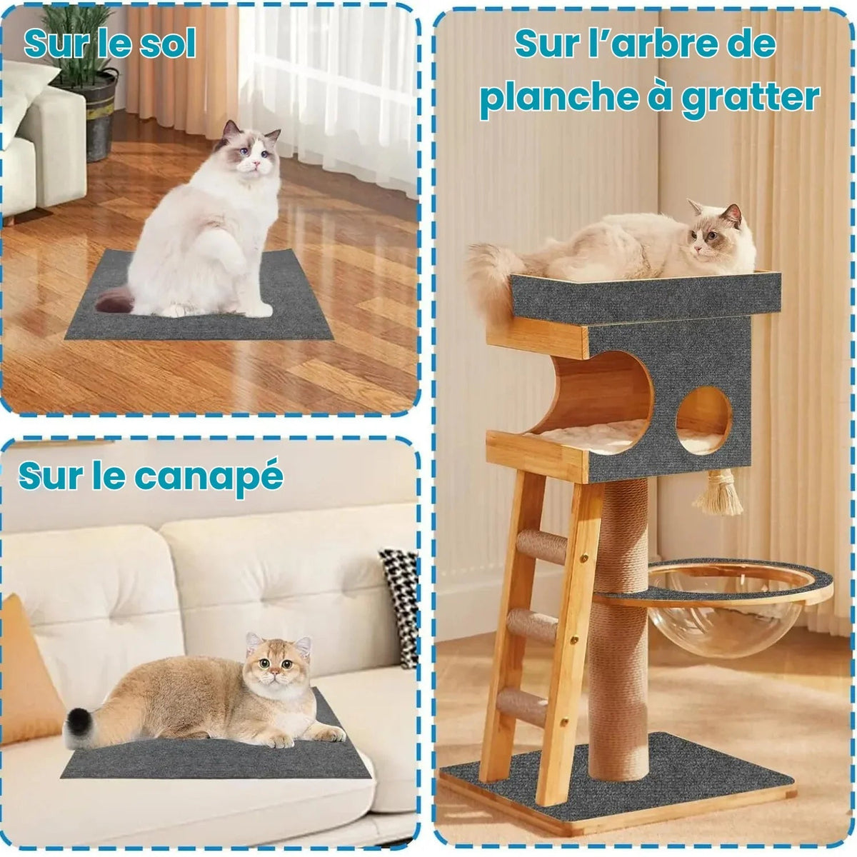 Polymères à Gratter Pour Chat - Polygriffe ES - Woufie