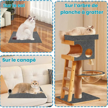 Polymères à Gratter Pour Chat - Polygriffe ES - Woufie