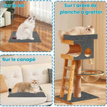 Polymères à Gratter Pour Chat - Polygriffe ES - Woufie