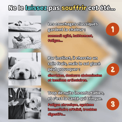 Tapis rafraîchissant pour animaux - TempCat - Woufie