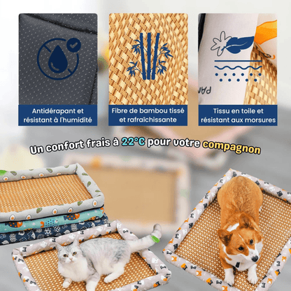Tapis rafraîchissant pour animaux - TempCat - Woufie