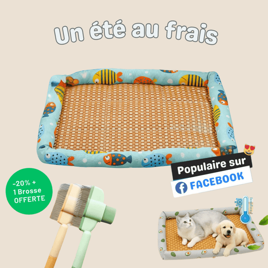 Tapis rafraîchissant pour animaux - TempCat - Woufie